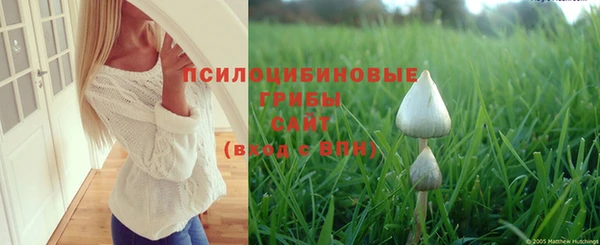 гашиш Богородск