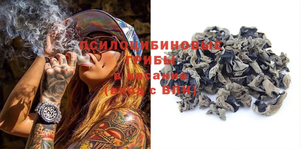 mdpv Богданович
