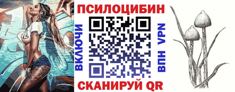 мега вход  Власиха  Псилоцибиновые грибы мицелий 